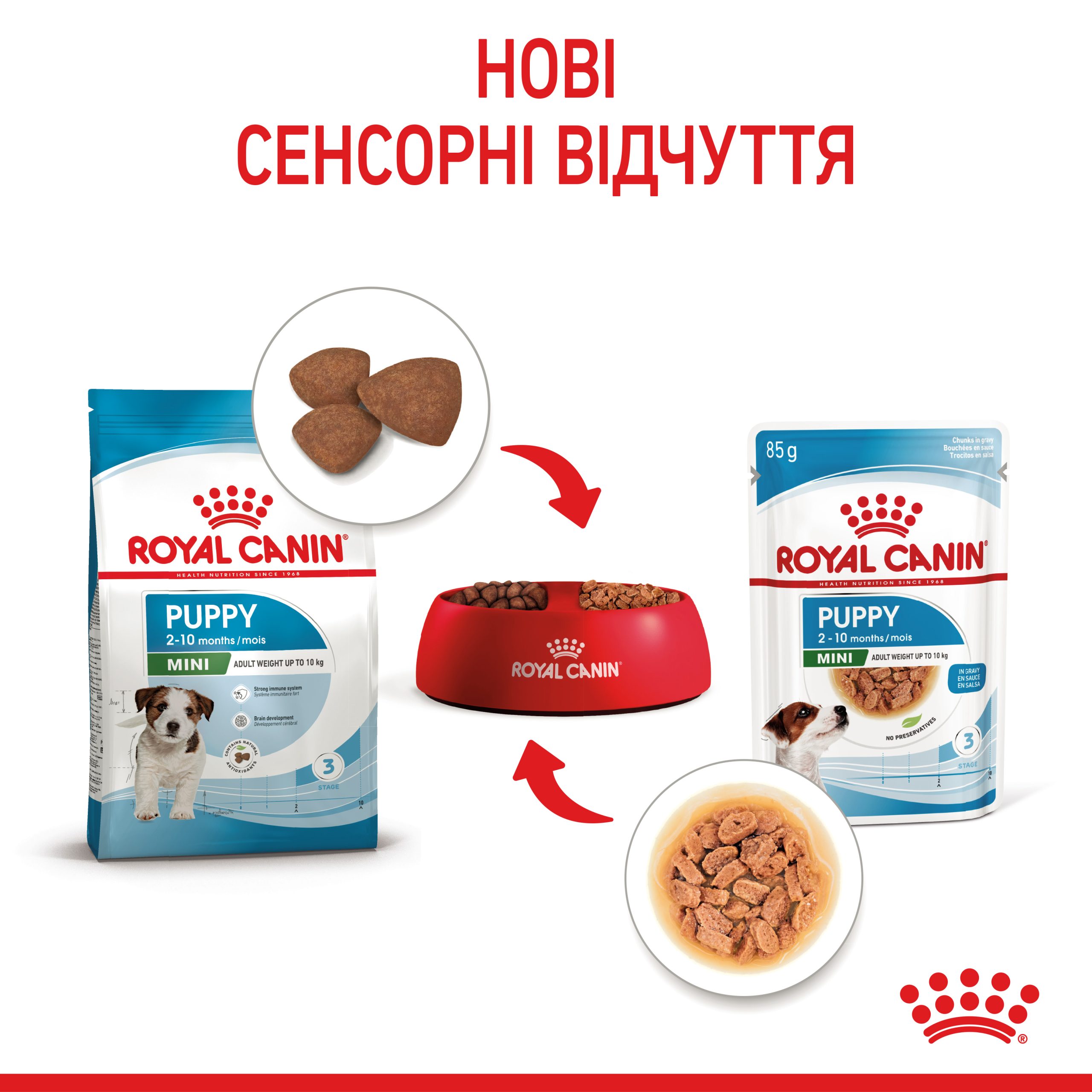 Вологий корм для цуценят ROYAL CANIN MINI PUPPY (85 г) - Зображення 5