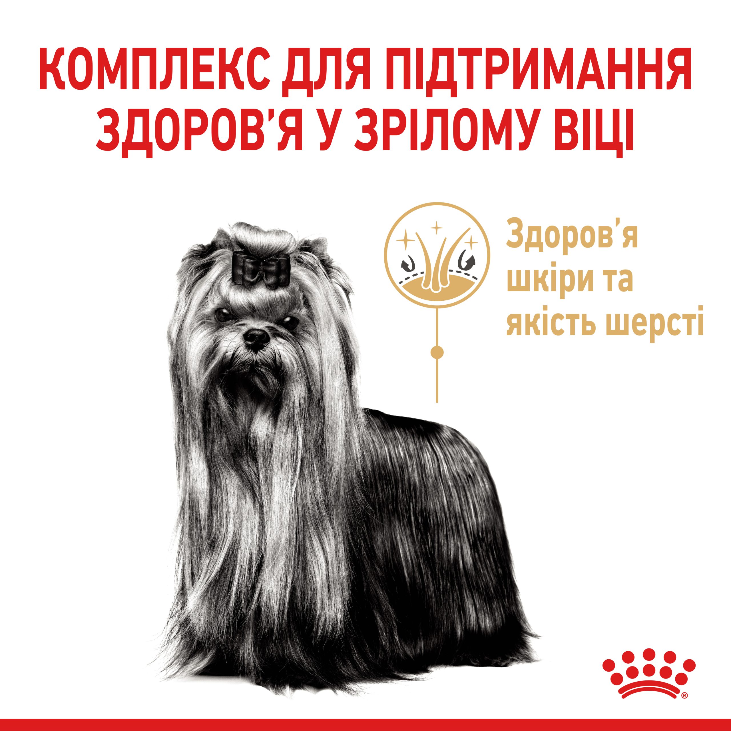 Корм для дорослих собак ROYAL CANIN YORKSHIRE TERRIER ADULT 8+ 1.5 кг - Зображення 2