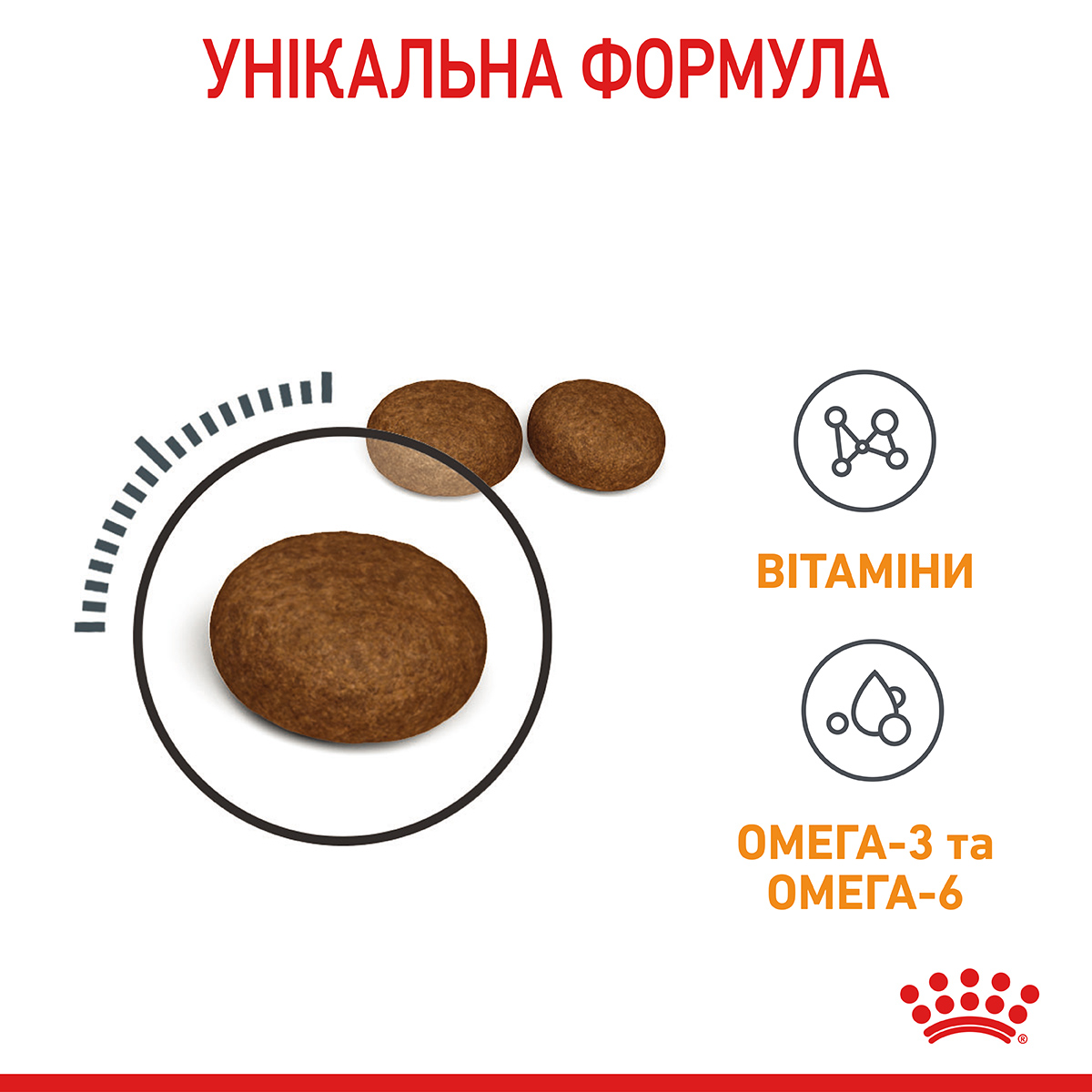 Корм для котів ROYAL CANIN HAIR&SKIN CARE 10.0 кг - Зображення 6