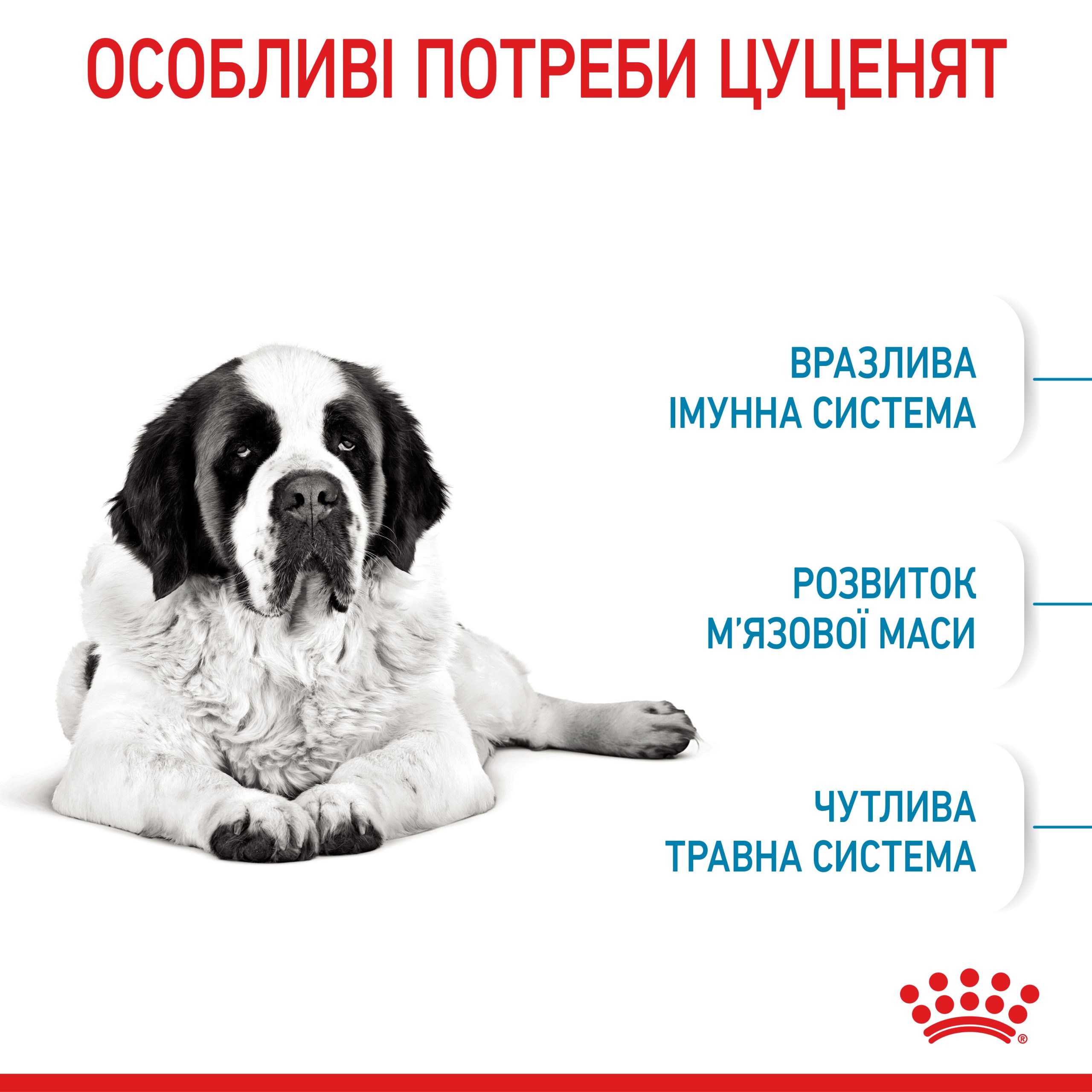 Корм для молодих собак ROYAL CANIN GIANT JUNIOR 15.0 кг - Зображення 2