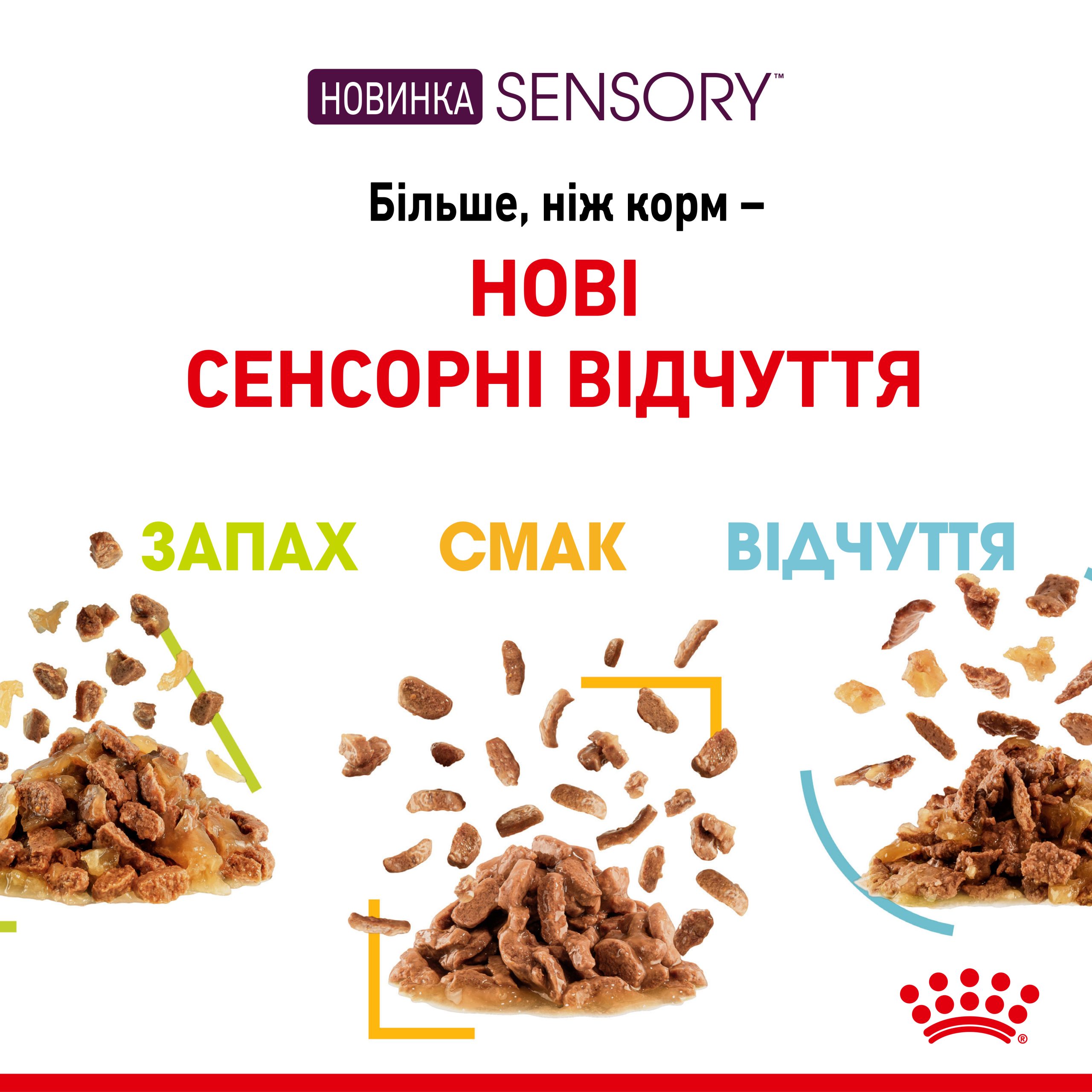 Вологий корм для дорослих котів ROYAL CANIN SENSORY SMELL JELLY 85г - Зображення 3