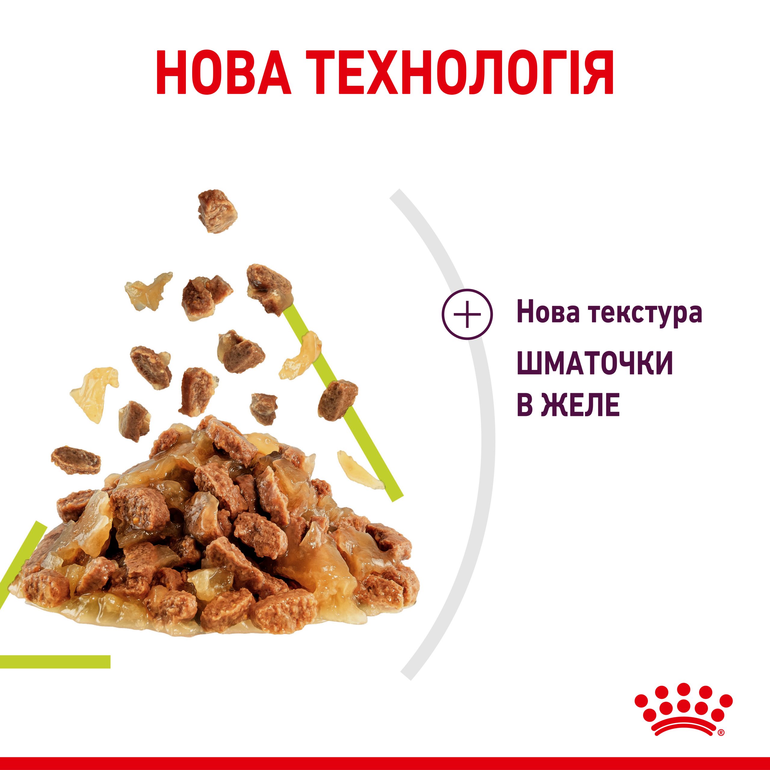 Вологий корм для дорослих котів ROYAL CANIN SENSORY SMELL JELLY 85г - Зображення 4