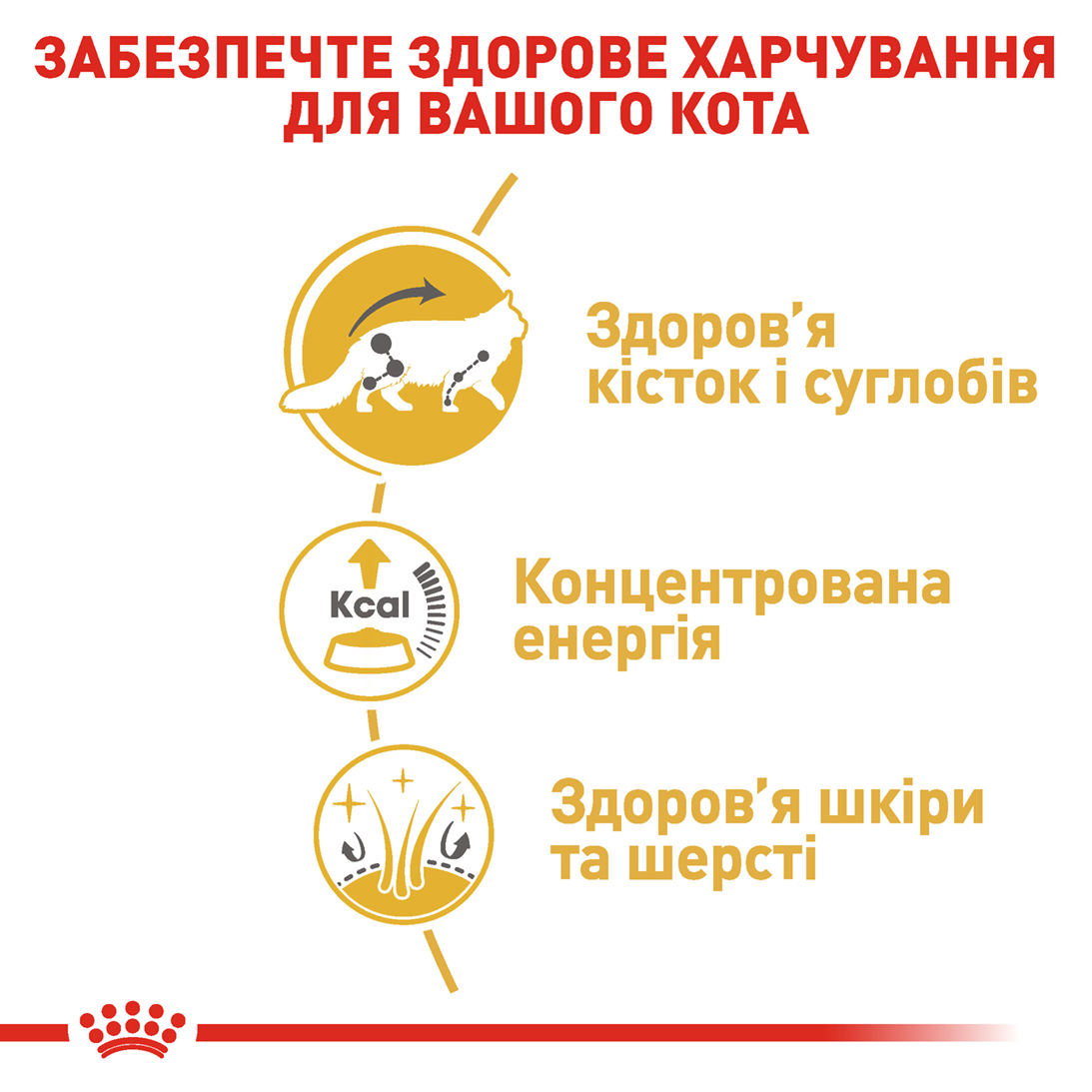 Вологий корм для дорослих котів ROYAL CANIN MAINECOON ADULT 85г x 12 шт. - Зображення 4