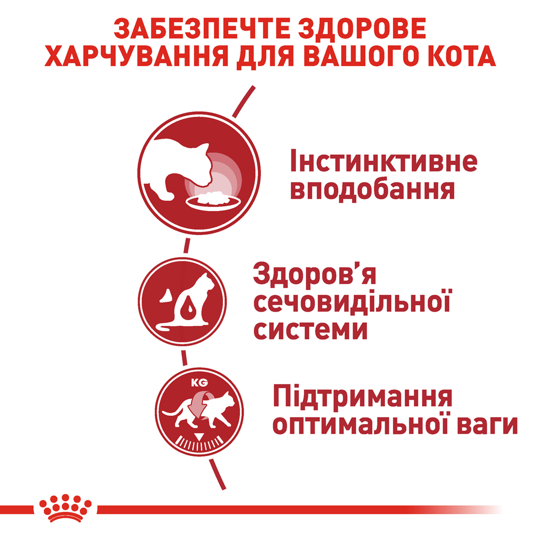 Вологий корм для дорослих котів ROYAL CANIN INSTINCTIVE IN GRAVY 85г - Зображення 3