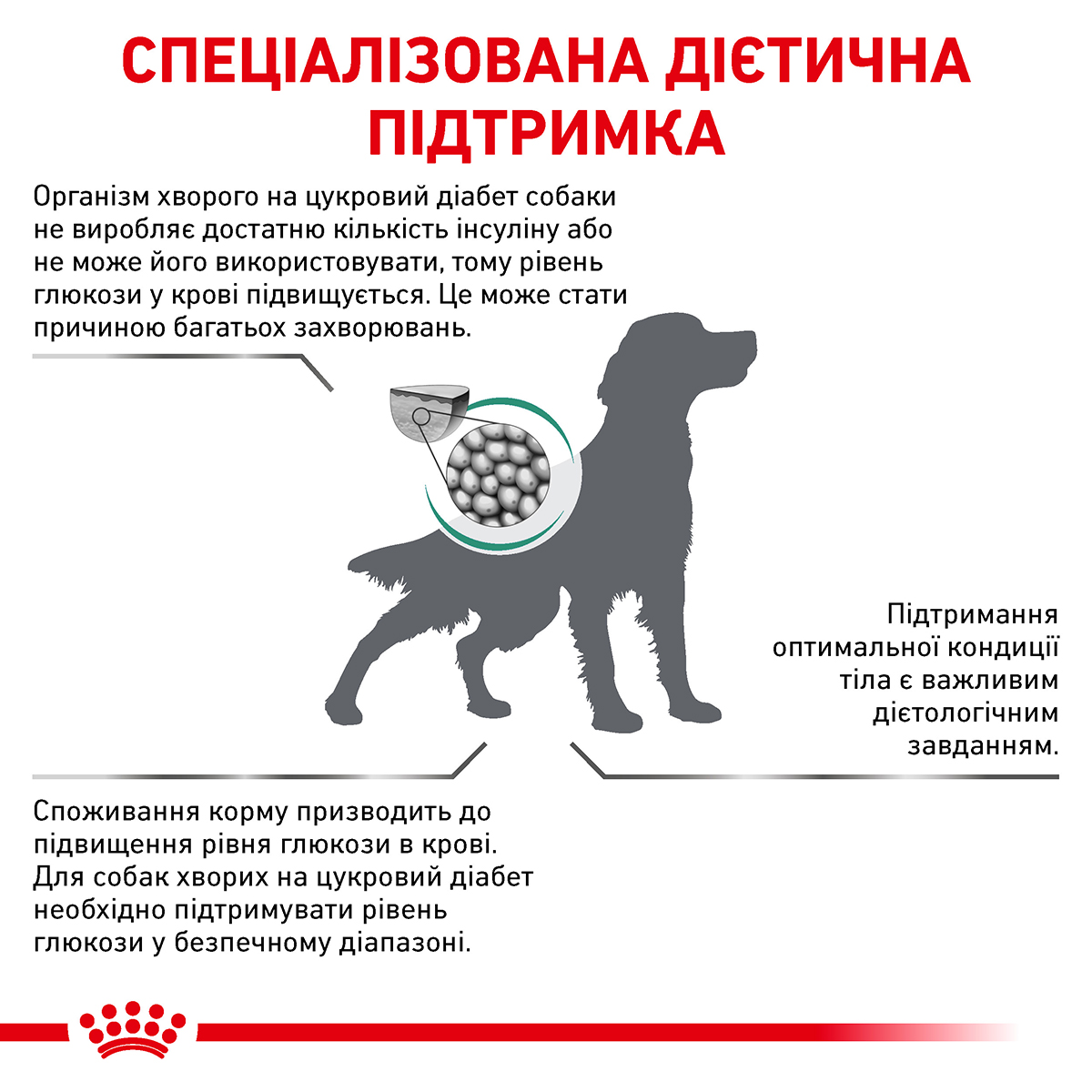 Корм для дорослих собак ROYAL CANIN DIABETIC DOG 1.5 кг - Зображення 5