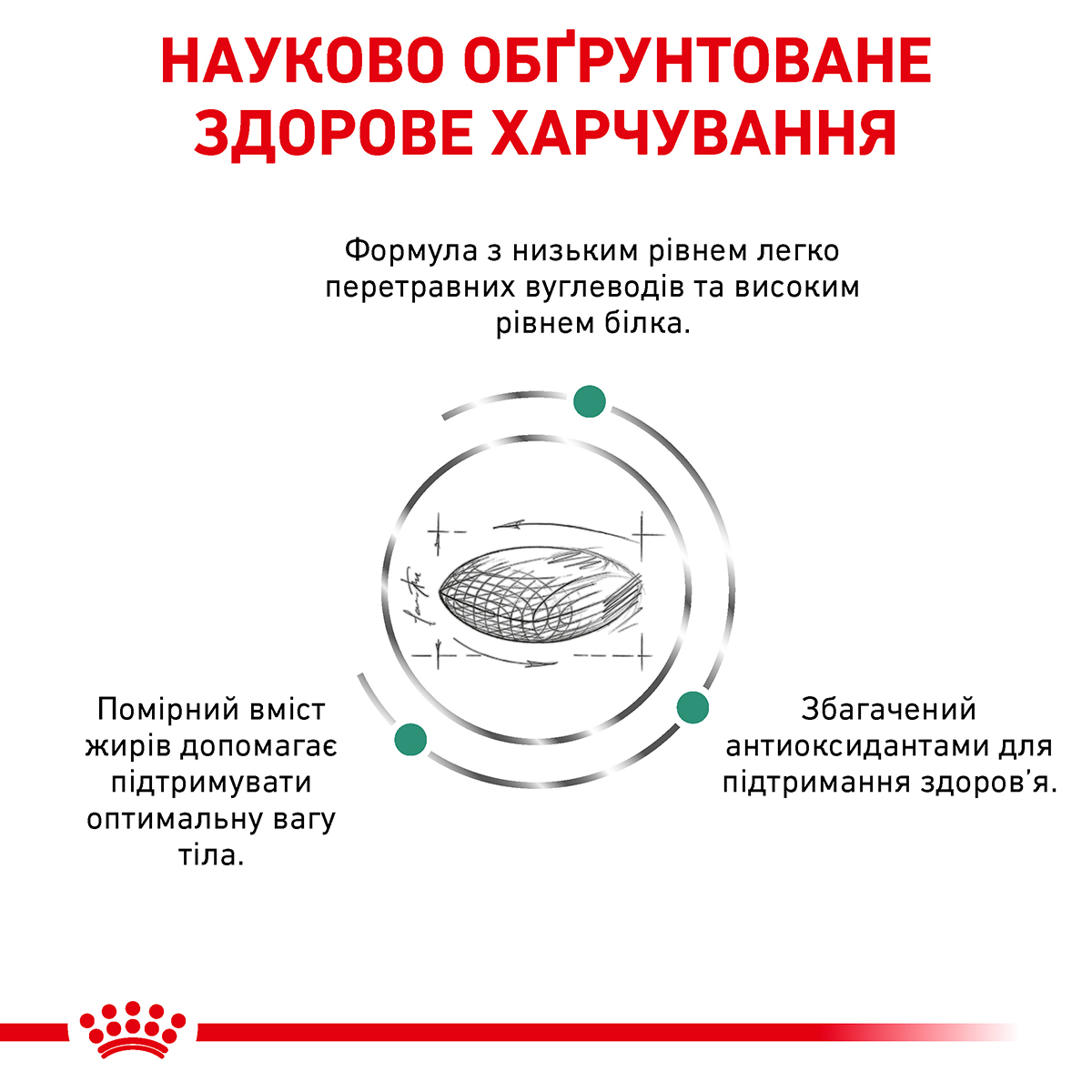 Корм для дорослих собак ROYAL CANIN DIABETIC DOG 1.5 кг - Зображення 4